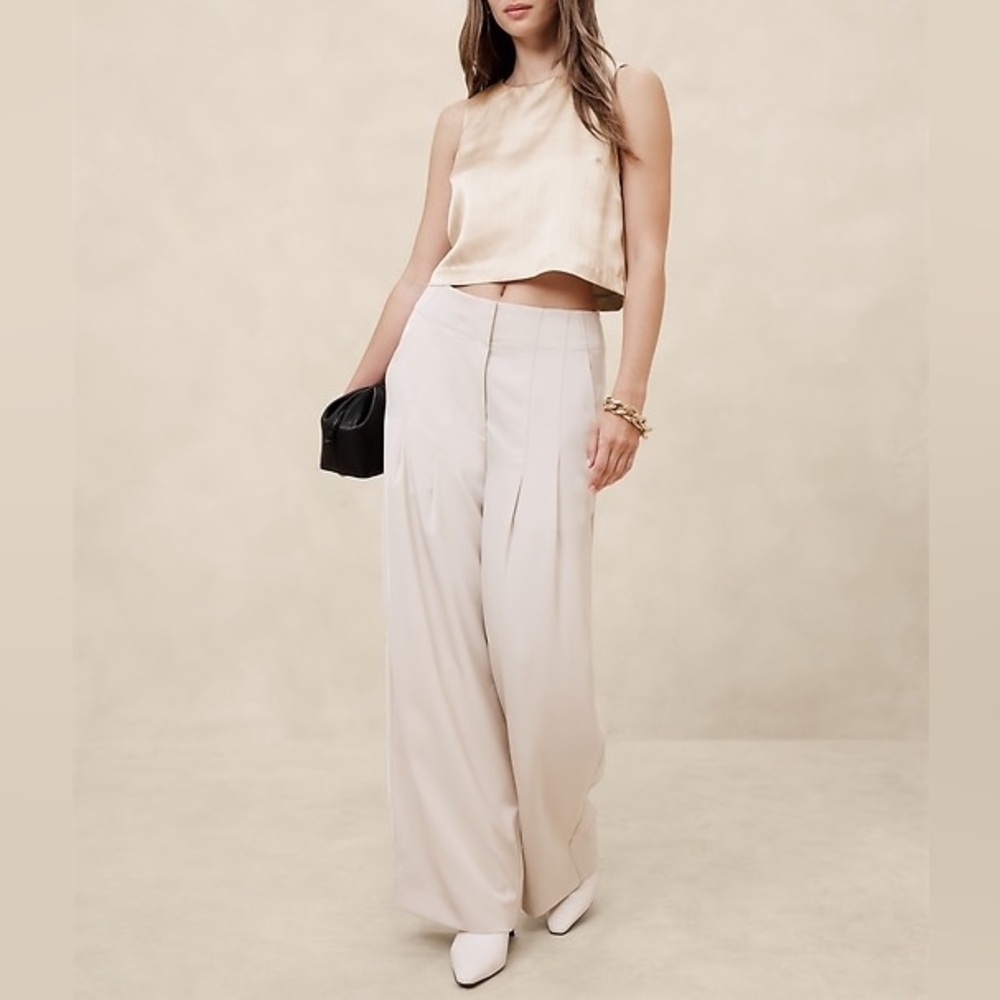 Banana Republic Silver Stripped Cropped Top